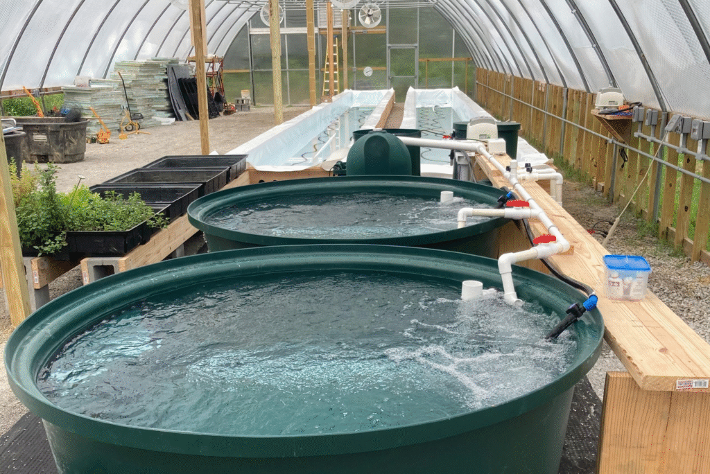 Fish-Farm-600-Product-Image-scaled